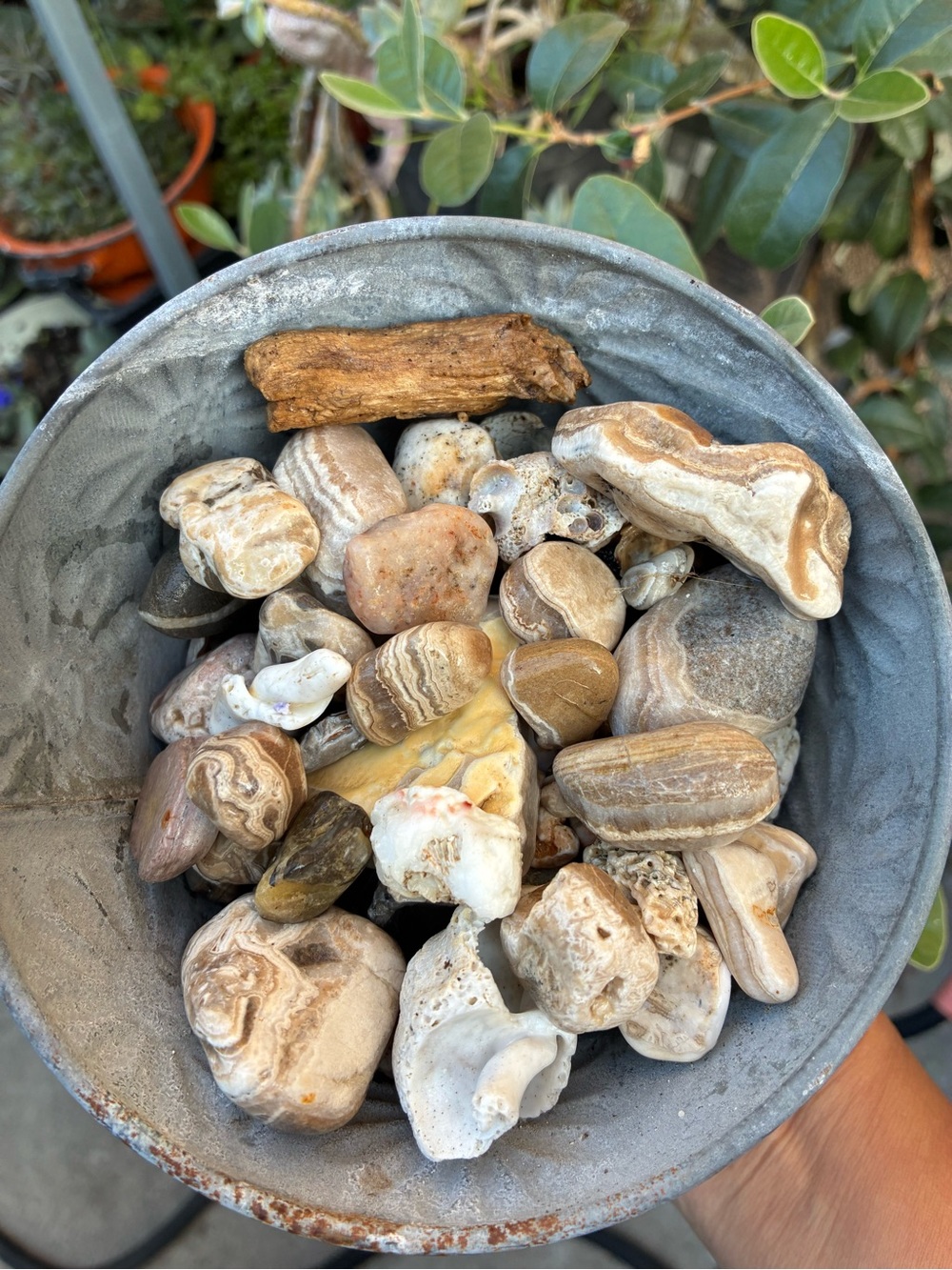 Beach Seashell & rock collection in a glass jar #seashells #coastal #agates